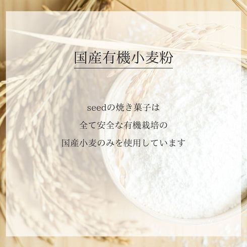 保存料添加物無添加エシカルクッキー しあわせの種&チーズアーモンドリーフセット