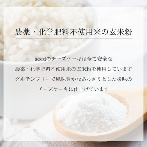 保存料添加物無添加エシカルクッキー チーズアーモンドリーフ