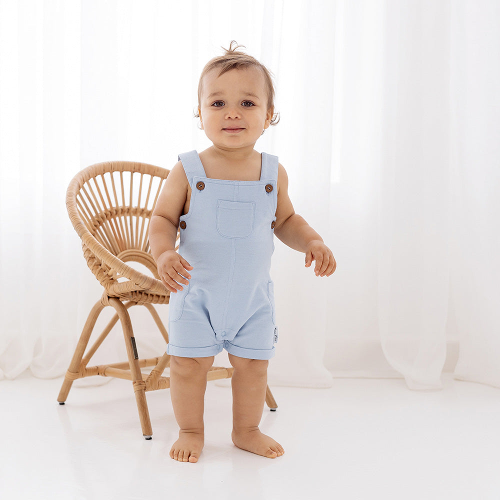 ASTER & OAK / Chambray Overalls_Chambray[1y,2y]